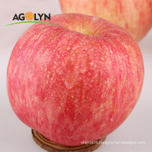 2019 New Crop Fresh Sweet Fresh Qinguan Apple Type